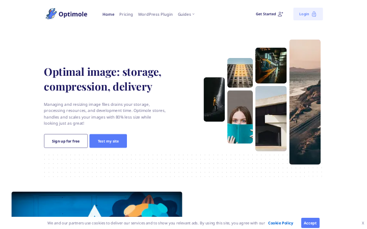 Screenshot of the Optimolewebsite